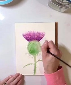 Tae a Thistle💜💚. . Tae Scots yer mair than just a flower, Yer a symbol o’ great strength an’ power. Wrapped in shades o’ purple an’ green, Yer the bonniest flower this land has seen. Some folk say yer jist a weed, But we Scots ken yer a mighty breed. Yer delicate yet strong an’ bold, An’ worth mair tae us than silver or gold. Aye yer loved by Scottish hearts, An’ ye always wur right fae the start. Wi’ yer purple heeds and yer spiny stems, Yer the richest o’ all oor Scottish gems. Author Unknow