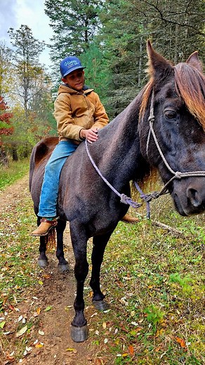 Breck has one of the smoothest bareback rides...That alone makes him a top pick, especially for the kids because they'd rather not have to deal with the saddle 😆 This fella needs his next mate. Kid, husband, and grandma safe! We think he'd be great alone if you're someone who only wants/needs/can afford one horse BUT only if you are very dedicated to spending time with him everyday, because horses need companions. We don't keep him alone - he's currently in a pasture with 4 others horses, 3 of 