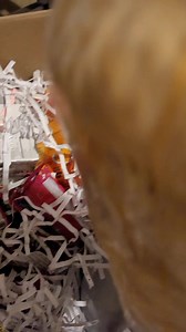 9.3K views · 175 reactions | My box of goodies has arrived from Jamrock Goodies LLC go and support a sister guys. | Flawless RAYNE entertainment INC | Facebook