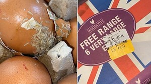 Revolting moment mum finds writhing maggots in rotten Lidl eggs