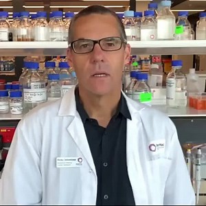 88 reactions · 18 shares | Cancer patients are among the most at risk from the coronavirus. Our researchers are urgently working to discover new treatments and help give every cancer patient the chance of surviving this pandemic. But they need your help. donate.petermac.org.au/help | Peter MacCallum Cancer Foundation | Facebook