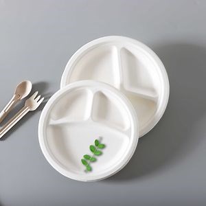 [Hot Item] Stylish Bagasse Paper Plates Disposable Party Utensils Paper Trays for Takeaway Using