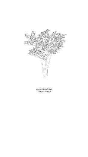 Vector landscape design trees bundle. #landscapearchitecture #landscapedesign