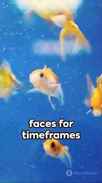 "Fish Memory: More Than Just Seconds Revealed!"