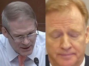 'Why did you ban Dave Portnoy?,' Jim Jordan Grills NFL Commissioner Roger Goodell | The Comical Conservative