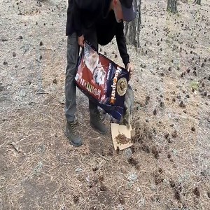 RAIN FOREST INFLATABLE TENT WITH STOVE | Mohit Singhania