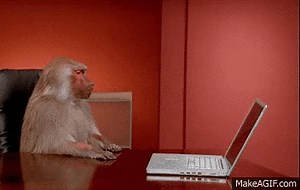 Monkey destroys laptop on Make a GIF