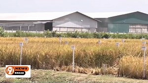 1.2K views | 9newsbreak on Reels | Facebook