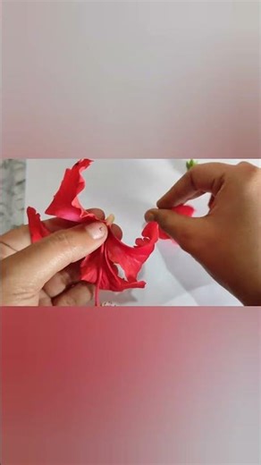 Hibiscus Flower Dissection 🌺 🔬 | Androecium & Gynoecium #natural Explained#biology#scienceshorts