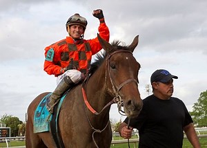 Chocolate Martini Determined in Fair Grounds Oaks Upset