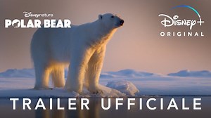 Polar Bear: trailer e data d'uscita per l'emozionante film Disney sugli orsi polari
