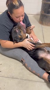 I don't know why people lie so much. His owners, Terrance and Bree Hall, say that he bites at the dremmel and gives them the hardest time when doing his nails. Like he's a whole rebel 🙄 LIES I TELL YA! he's an angel baby 😇 | Lois Villearreal