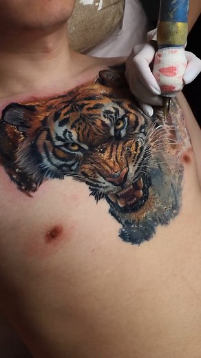 Not an ordinary tiger tattoo that you see every single day💙🐅🌊 Full Chest piece ｜Tiger 🐅and Wave🌊 4 sessions in total The tiger is healed for 2.5 months Done with： @kwadron @inkmachines @revolution__ink @pantheraink @dermalizepro @tattooproton @tattoogoo @tatfat_supply @mdwipeoutz #tattoo #tattooideas #tattoostyle #tattooartist #asmr #tiger #tigertattoo #chesttattoo #tattooing #tattoolovers #tattoolife #realismtattoo #tattoodesign #tattooapprentice #tattooink #artist #artwork #detailing #dra