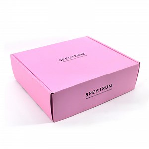 [Hot Item] Custom Printing Packaging Shipping Cardboard Plane Box E Flute Plain Flat Box Folding Paper Clothing Box