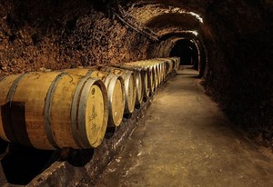 أصناف جديدة لـ Chateau Ksara... من البقاع الى العالم (فيديو)