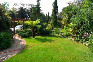 [Hot Item] 40mm Landscaping Artificial Grass Synthetic Grass Landscape Grass Garden Grass for Decoration
