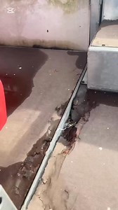 12K views · 143 reactions | Rotten Wooden Platform Being Replaced by anti slip steel Deck Sheet in Pokhara stadium as weather conditions of Pokhara did not suit Wooden plat-form. The repair work has been progressed with the construction company bearing all the costs of the repair. ️ ⚡️️#kaski #FootballNepal #goal #nepal #FootballTips #GandakiProvince #GandakiPradesh #gandaki #pokhara #pokharafutsal #futsal #tournament #goalnepalkaski | GoalNepal.com Kaski | Facebook