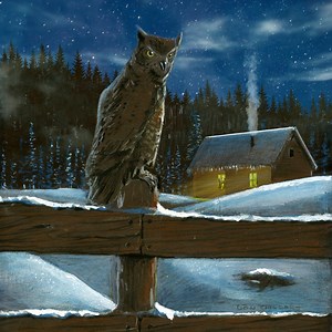 4.7K reactions · 296 shares | • 70% Fewer Ads Than Traditional Magazines • 116 Pages Every Issue • 50% Off Today Read up on gardening, cooking, building, canning, foraging, raising livestock, and self-reliance. | Backwoods Home Magazine | Facebook