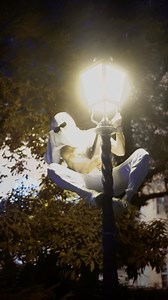 25K views · 507 reactions | Boooo | Andrii Levchenko | Facebook