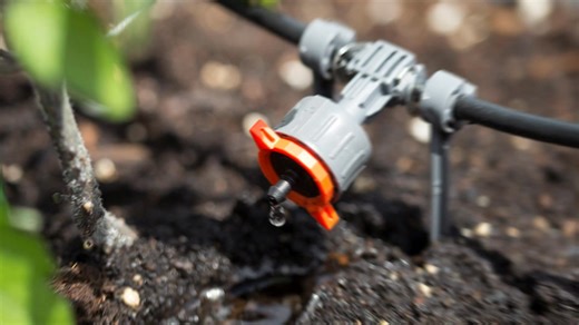 دورة تصميم شبكات الري الحديث للحدائق "Irrigation Systems" 💧💯 (Course of irrigation design and installation for landscape) 🔷 هل تريد أن تصبح خبيرًا في تصميم شبكات الري الحديثة؟ مجموعة أغاخان تقدم لك برنامج تدريبي شامل يتيح لك احتراف تصميم وتنفيذ شبكات الري باستخدام برامج متقدمة مثل AutoCAD، RainCAD، Water Gems. 🌿💻 =================================== مميزات الدورة: ✅ شرح عملي ومفصل لبرنامج AutoCAD. ✅ استخدام برامج الري المتطورة مثل RainCAD وتطبيقاتها. ✅ تعلم أساسيات تصميم شبكات الري مع مراعاة