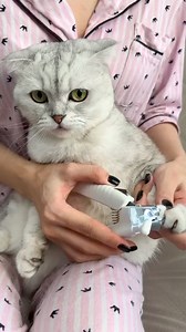 7.8K views · 256 reactions | How to Trim Cat Claws #cat | Cat Lover | Facebook
