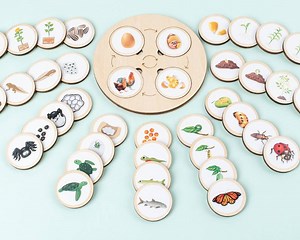 [Hot Item] Life Cycle Puzzle Kids Educational Board Toy