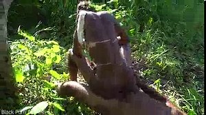 I came to film a tribe documentary but they used me like their sextoy