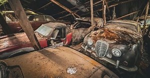 Mercedes, Riley One-Point-Five e mais: exploradora encontra 50 carros antigos abandonados em floresta