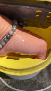 Ever see a Halalu Paddletail? Your welcome  Heres a first look at our 4” Halalu Full Custom Paddletails  Tag a friend who would toss these out! These will be dropping…. Tomorrow? In the next few days? Maybe for in’s??? Just keep your notifications on 酪酪酪 Campanialures.com | Campania Lures | Facebook