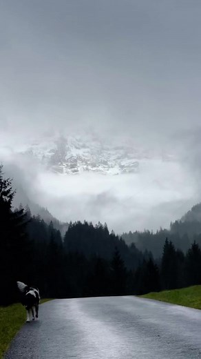 20 reactions | Demi Vollering off season hiking 﫶️ Klausen Pass in Switzerland. #cycling #nature #mountains #SDWorx #happiness | Category Cafe | Facebook
