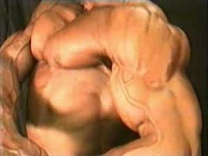 SOLID ROCKHARD MUSCLE!!!!