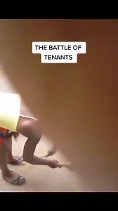 167K views · 1.1K reactions | Who won the battle between these 2 neighbours | Tororo Special | Facebook