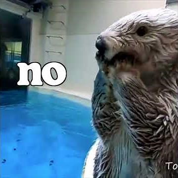 Inspector Otter - Ep. 8