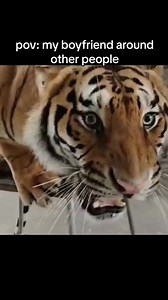 11K views · 192 reactions | Exactly! Ramdas Tharmalingam purusha | Trivya Ramdas | Facebook