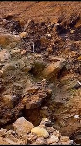 191K views · 4.3K reactions | Salió una de las dos culebras que salen aquí #fypシ゚viralシ | Grego60 | Facebook