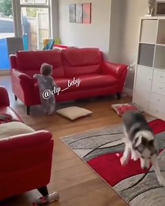 Tag you're it! | BabyCenter Australia