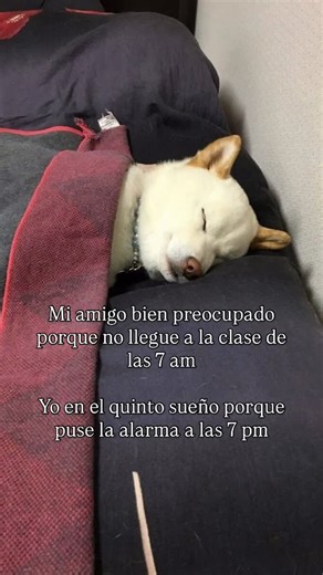 Ana Cam on Instagram: "Pues súper bien a esa hora entonces 🥴😟 #universidad #mty #tec #foraneo #vlog"