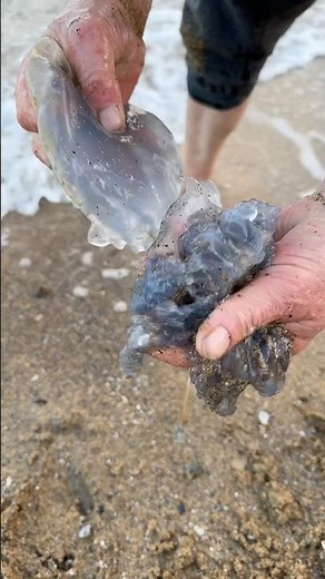 🔥💰Found an Incredible Treasure on the Beach! Gold Hunter in Shock! #treasuresearch