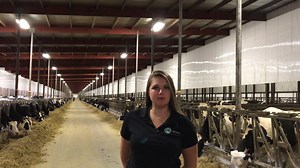 We were pleased to welcome AgSource Cooperative Services' Nicole Hibbard to Rosendale & Omro dairies recently. We appreciate her taking the time to add some thoughts to our #TourTestimonials series. | Milk Source, LLC