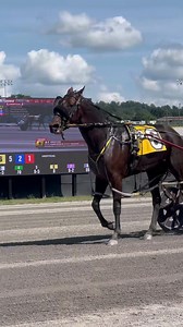 The second Adios Elimination was won by Swingtown in 1:50.1! Driven by Ronnie Wrenn Jr. for trainer Ron Burke. Congratulations to all connections!👏🏼 #harnessracing #standardbreds #pacefortheorchids #adios #themeadows | Meadows Standardbred Owners Association