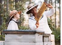 The Secret Life of Bees reviewed.