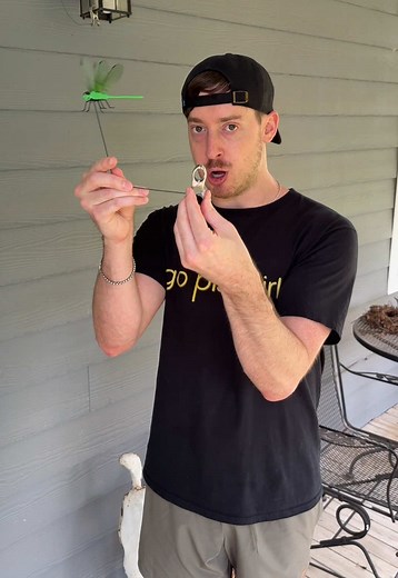 Do Fake Dragonfly Clips Keep Wasps and Mosquitoes Away?