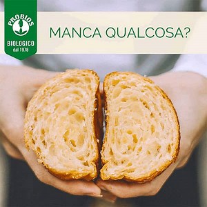 Voglia di una pausa golosa?🙈🍫 Non può mancare la crema 100% nocciole, perfetta da spalmare sul pane o su un morbido croissant! 😋 Acquistala sul nostro shop 👉 http://bit.ly/39Uudd2 | Probios
