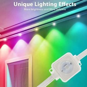 [Hot Item] Smart Control Outdoor Architecture Building Decoration Pixel Eaves Lights
