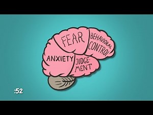 Why Does an Orgasm Feel Good? | WebMD