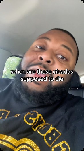 I hate them #cicada #deathtocicadas | Marc May