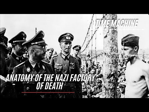 Mauthausen: Anatomy of The Nazi Factory of Death - Full History Documentary