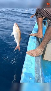 12K views · 113 reactions | Deep Sea Fishing Videos #fishing #fishingvideos #fishing | Neerulagam | Facebook
