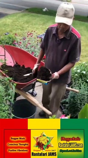 2.9K views · 125 reactions | How love is expressed as a elder Jamaican couple ❤️ #jamaica #jamaican #jamaicancouple #love #onelove #rastafarijams #reggaeradio #SpreadLoveLikeAVirus | Rastafari Jams | Facebook