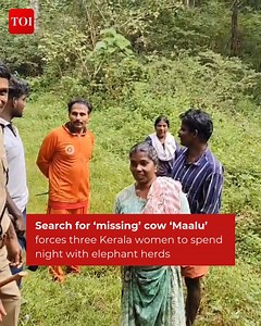 12K views · 66 reactions | #Kerala | Three women in #Attikkalam...